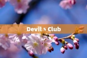 Devil丶Club